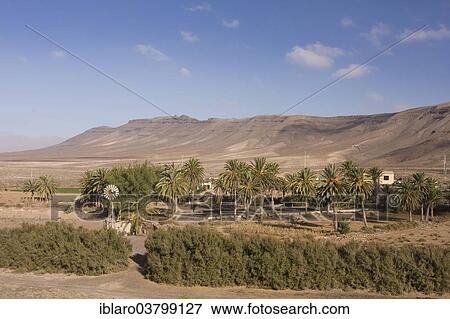 "Palm grove with a windmill for pumping water in the mountains near Ajuy, Fuerteventura, Canary Islands, Spain, Europe" View Large Photo Image Stock Photo - "Palm grove with a windmill for pumping water in the mountains near Ajuy, Fuerteventura, Canary Islands, Spain, Europe". Fotosearch