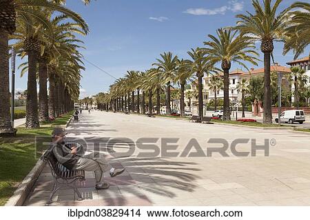 "Palm promenade, Salou, Catalonia, Spain, Europe" View Large Photo Image Picture - "Palm promenade, Salou, Catalonia, Spain, Europe". Fotosearch
