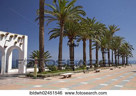 Stock Photograph - "Palm trees along the promenade to the observation deck of Balcon de Europa, Nerja, Costa del Sol, Andalusia, Spain, Europe, PublicGround, Europe". Fotosearch