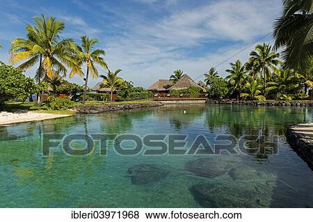 "Palm trees and Polynesian Bungalow reflected in the water, Moorea, French Polynesia, Oceania" View Large Photo Image Stock Photo - "Palm trees and Polynesian Bungalow reflected in the water, Moorea, French Polynesia, Oceania". Fotosearch