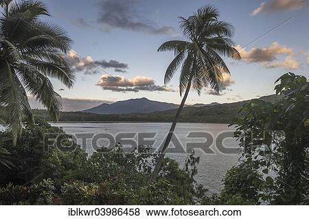 "Palm trees off Port Resolution Bay, Tanna Island, Vanuatu, Oceania" View Large Photo Image Stock Photo - "Palm trees off Port Resolution Bay, Tanna Island, Vanuatu, Oceania". Fotosearch