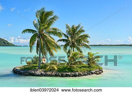 "Palm trees on a small South Seas island, Bora Bora, French Polynesia, Oceania" View Large Photo Image Picture - "Palm trees on a small South Seas island, Bora Bora, French Polynesia, Oceania". Fotosearch