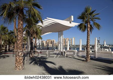"Palm trees on the promenade in the harbour, Palmerial de las Sorpresas, Malaga, Costa del Sol, Andalusia, Spain, Europe, PublicGround, Europe" View Large Photo Image Stock Image - "Palm trees on the promenade in the harbour, Palmerial de las Sorpresas, Malaga, Costa del Sol, Andalusia, Spain, Europe, PublicGround, Europe". Fotosearch