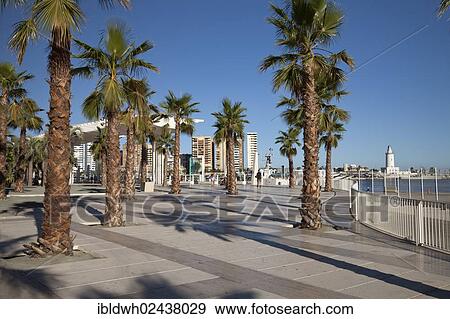 "Palm trees on the promenade in the harbour, Palmerial de las Sorpresas, Malaga, Costa del Sol, Andalusia, Spain, Europe, PublicGround, Europe" View Large Photo Image Stock Photo - "Palm trees on the promenade in the harbour, Palmerial de las Sorpresas, Malaga, Costa del Sol, Andalusia, Spain, Europe, PublicGround, Europe". Fotosearch