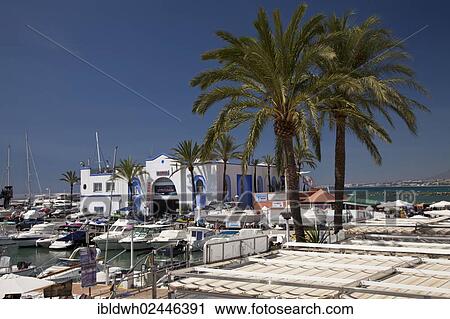 "Palms at the marina, Marbella, Costa del Sol, Andalusia, Spain, Europe, PublicGround, Europe" View Large Photo Image Stock Image - "Palms at the marina, Marbella, Costa del Sol, Andalusia, Spain, Europe, PublicGround, Europe". Fotosearch
