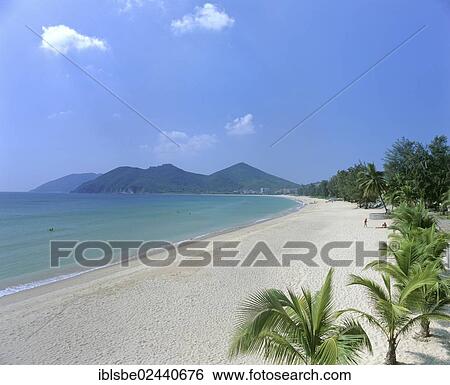 "Palms on Dadonghai Beach, white sandy beach, Sanya, Hainan Island, China, Asia" View Large Photo Image Stock Photograph - "Palms on Dadonghai Beach, white sandy beach, Sanya, Hainan Island, China, Asia". Fotosearch