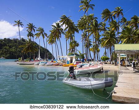 Stock Image - "Palms on the sandy beach and boats in Marigot Bay, Castries region, St. Lucia island, Lesser Antilles, Windward Islands, St. Lucia". Fotosearch