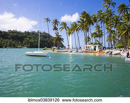 "Palms on the sandy beach and boats in Marigot Bay, Castries region, St. Lucia island, Lesser Antilles, Windward Islands, St. Lucia" View Large Photo Image Stock Photograph - "Palms on the sandy beach and boats in Marigot Bay, Castries region, St. Lucia island, Lesser Antilles, Windward Islands, St. Lucia". Fotosearch