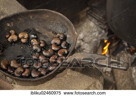 Pan with roasted cashew nuts View Large Photo Image Stock Photography - Pan with roasted cashew nuts. Fotosearch