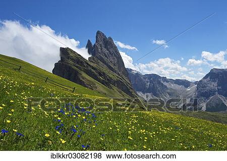 "Panascharte Mountain, Odle Mountains, Dolomites, Seceda, Grodnertal, South Tyrol province, Trentino-Alto Adige, Italy, Europe" View Large Photo Image Stock Photo - "Panascharte Mountain, Odle Mountains, Dolomites, Seceda, Grodnertal, South Tyrol province, Trentino-Alto Adige, Italy, Europe". Fotosearch
