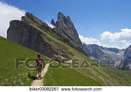 "Panascharte Mountain, Odle Mountains, Dolomites, Seceda, Grodnertal, South Tyrol province, Trentino-Alto Adige, Italy, Europe" View Large Photo Image Stock Photo - "Panascharte Mountain, Odle Mountains, Dolomites, Seceda, Grodnertal, South Tyrol province, Trentino-Alto Adige, Italy, Europe". Fotosearch