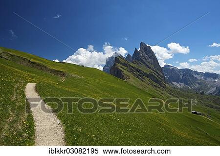 "Panascharte Mountain, Odle Mountains, Dolomites, Seceda, Grodnertal, South Tyrol province, Trentino-Alto Adige, Italy, Europe" View Large Photo Image Stock Photography - "Panascharte Mountain, Odle Mountains, Dolomites, Seceda, Grodnertal, South Tyrol province, Trentino-Alto Adige, Italy, Europe". Fotosearch