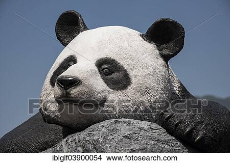 "Panda figure, Ocean Park, Hong Kong Island, Hong Kong, China, Asia" View Large Photo Image Picture - "Panda figure, Ocean Park, Hong Kong Island, Hong Kong, China, Asia". Fotosearch