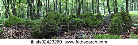 Panorama, boulders overgrown with moss, Greifenstein, Lahn-Dill-Kreis district, Hesse, Germany, Europe View Large Photo Image Stock Image - Panorama, boulders overgrown with moss, Greifenstein, Lahn-Dill-Kreis district, Hesse, Germany, Europe. Fotosearch