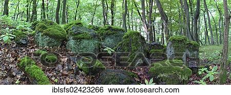 Panorama, boulders overgrown with moss, Greifenstein, Lahn-Dill-Kreis district, Hesse, Germany, Europe View Large Photo Image Stock Photograph - Panorama, boulders overgrown with moss, Greifenstein, Lahn-Dill-Kreis district, Hesse, Germany, Europe. Fotosearch