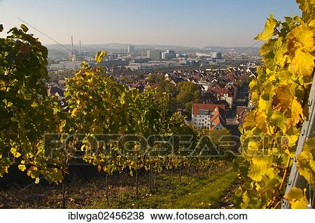 "Panorama from Rotenberg Mountain towards the main Daimler plant and Mercedes-Benz Arena, Untertuerkheim, Stuttgart, Baden-Wuerttemberg, Germany, Europe, PublicGround, Europe" View Large Photo Image Stock Photo - "Panorama from Rotenberg Mountain towards the main Daimler plant and Mercedes-Benz Arena, Untertuerkheim, Stuttgart, Baden-Wuerttemberg, Germany, Europe, PublicGround, Europe". Fotosearch
