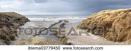 "Panorama, tidal creek, Loekken, Denmark, Europe" View Large Photo Image Stock Image - "Panorama, tidal creek, Loekken, Denmark, Europe". Fotosearch