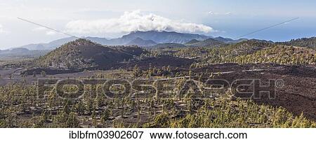 "Panoramic view on volcanic landscape, view from the Samara volcano, Las Canadas, UNESCO World Heritage Site, Teide National Park, Tenerife, Canary Islands, Spain, Europe" View Large Photo Image Stock Photo - "Panoramic view on volcanic landscape, view from the Samara volcano, Las Canadas, UNESCO World Heritage Site, Teide National Park, Tenerife, Canary Islands, Spain, Europe". Fotosearch