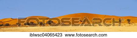 "Panoramic view, sand dunes, Sossusvlei, Namib Desert, Namib-Naukluft National Park, Namibia, Africa" View Large Photo Image Stock Image - "Panoramic view, sand dunes, Sossusvlei, Namib Desert, Namib-Naukluft National Park, Namibia, Africa". Fotosearch