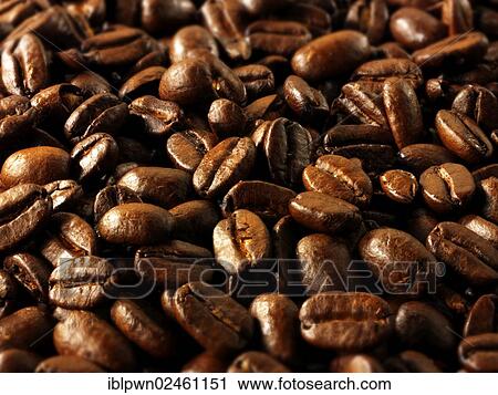 Papua New Guinea fair trade coffee beans View Large Photo Image Stock Image - Papua New Guinea fair trade coffee beans. Fotosearch
