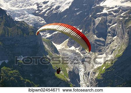 "Paragliders in the Swiss Alps above the Grindelwald valley, Swiss Alps, Switzerland, Europe" View Large Photo Image Stock Image - "Paragliders in the Swiss Alps above the Grindelwald valley, Swiss Alps, Switzerland, Europe". Fotosearch