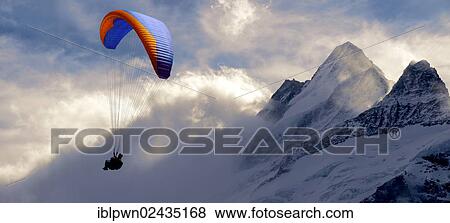 "Paragliders in the Swiss Alps near the Schreckhorn mountain above the Grindelwald valley, Swiss Alps, Switzerland, Europe" View Large Photo Image Stock Photo - "Paragliders in the Swiss Alps near the Schreckhorn mountain above the Grindelwald valley, Swiss Alps, Switzerland, Europe". Fotosearch