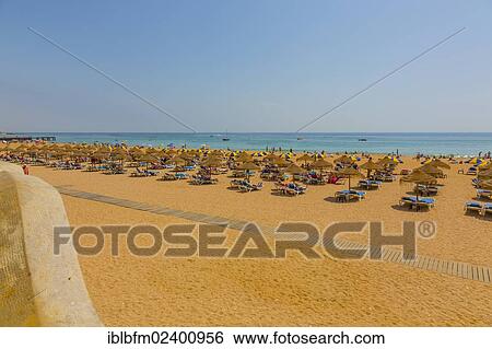 "Parasols and sun loungers on the beach, Praia, Albufeira, Algarve, Portugal, Europe" View Large Photo Image Stock Photograph - "Parasols and sun loungers on the beach, Praia, Albufeira, Algarve, Portugal, Europe". Fotosearch