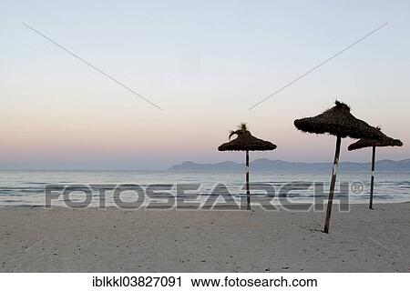 "Parasols on the beach in the early morning, Alcudia, Majorca, Balearic Islands, Spain, Europe" View Large Photo Image Stock Image - "Parasols on the beach in the early morning, Alcudia, Majorca, Balearic Islands, Spain, Europe". Fotosearch