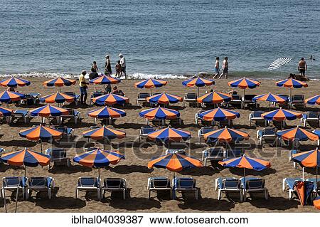 "Parasols, sun loungers on the beach Playa Blanca, Puerto del Carmen, Lanzarote, Canary Islands, Spain, Europe" View Large Photo Image Stock Photo - "Parasols, sun loungers on the beach Playa Blanca, Puerto del Carmen, Lanzarote, Canary Islands, Spain, Europe". Fotosearch
