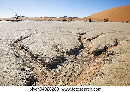 "Parched earth and dead trees, Deadvlei, Sossusvlei, Namibia, Africa" View Large Photo Image Stock Image - "Parched earth and dead trees, Deadvlei, Sossusvlei, Namibia, Africa". Fotosearch