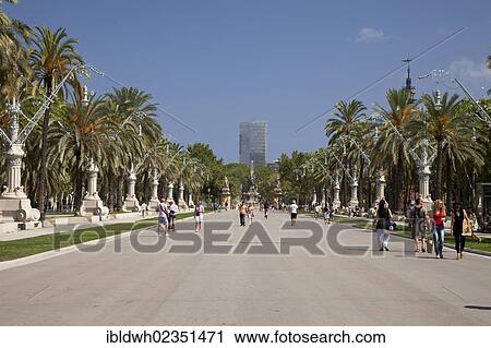"Park area with palm trees, Parc de l'Estacio, Barcelona, Catalonia, Spain, Europe, PublicGround, Europe" View Large Photo Image Stock Image - "Park area with palm trees, Parc de l'Estacio, Barcelona, Catalonia, Spain, Europe, PublicGround, Europe". Fotosearch