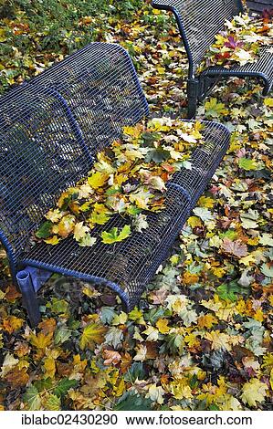 "Park benches with autumn foliage, Giesing, Munich, Bavaria, Germany, Europe" View Large Photo Image Stock Image - "Park benches with autumn foliage, Giesing, Munich, Bavaria, Germany, Europe". Fotosearch