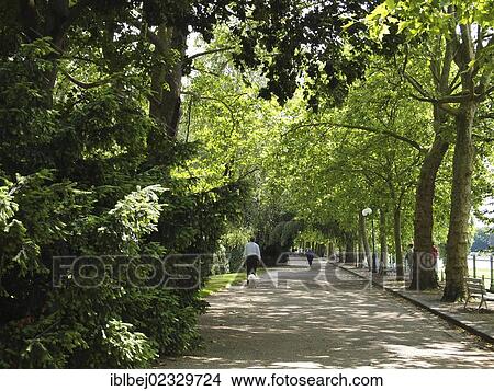 Picture - Park of Vichy. Allier. Auvergne. France. Fotosearch