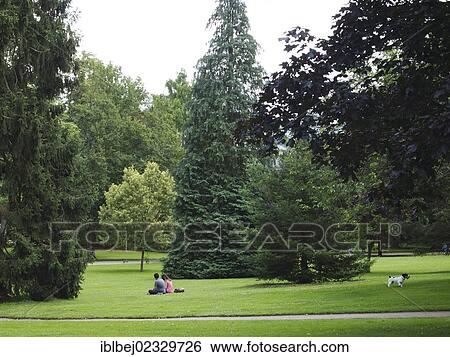 Park of Vichy. Allier. Auvergne. France View Large Photo Image Stock Photograph - Park of Vichy. Allier. Auvergne. France. Fotosearch
