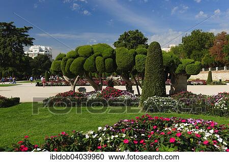 "Parque del Retiro with Mediterranean Cypress (Cupressum sempervirens), Madrid, Spain, Europe" View Large Photo Image Stock Image - "Parque del Retiro with Mediterranean Cypress (Cupressum sempervirens), Madrid, Spain, Europe". Fotosearch