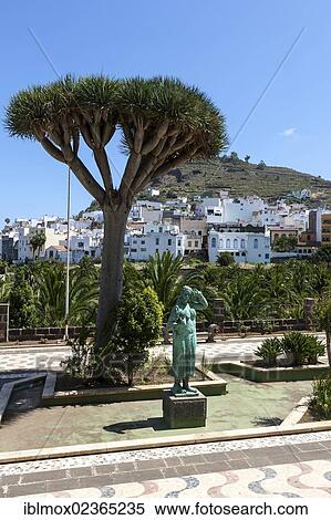 "Parque Municipal, municipal park, old town of Arucas, Gran Canaria, Canary Islands, Spain, Europe, PublicGround, Europe" View Large Photo Image Stock Photography - "Parque Municipal, municipal park, old town of Arucas, Gran Canaria, Canary Islands, Spain, Europe, PublicGround, Europe". Fotosearch