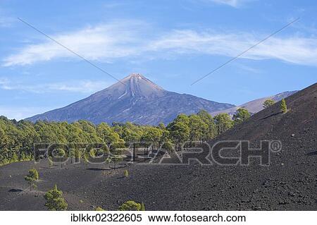Stock Photography - "Parque Nacional del Teide, Tenerife, Canary Islands, Spain, Europe". Fotosearch