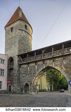 "Part of the city wall with a defence tower and a gate, Vanalinn, Tallinn, Harju, Estonia, Europe" View Large Photo Image Stock Image - "Part of the city wall with a defence tower and a gate, Vanalinn, Tallinn, Harju, Estonia, Europe". Fotosearch
