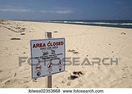 "Part of the Head of the Meadow Beach in Cape Cod National Seashore, closed to provide protection for rare nesting birds including the Piping Plover and the Least Tern, Truro, Massachusetts, USA" View Large Photo Image Stock Photo - "Part of the Head of the Meadow Beach in Cape Cod National Seashore, closed to provide protection for rare nesting birds including the Piping Plover and the Least Tern, Truro, Massachusetts, USA". Fotosearch