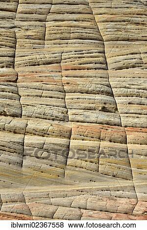 "Partial view, sandstone structure of the Checkerboard Mesa Table Mountain, Zion National Park, Utah, United States of America, USA" View Large Photo Image Stock Photo - "Partial view, sandstone structure of the Checkerboard Mesa Table Mountain, Zion National Park, Utah, United States of America, USA". Fotosearch
