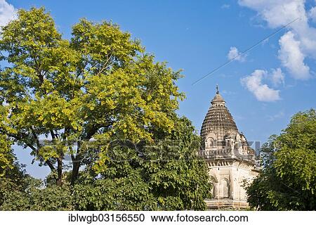 "Parvati temple amidsts trees, Temple of the Chandela dynasty, Western Group, Khajuraho Group of Monuments, UNESCO World Heritage Site, Khajuraho, Madhya Pradesh, India, Asia" View Large Photo Image Stock Image - "Parvati temple amidsts trees, Temple of the Chandela dynasty, Western Group, Khajuraho Group of Monuments, UNESCO World Heritage Site, Khajuraho, Madhya Pradesh, India, Asia". Fotosearch
