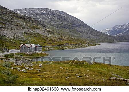 "Pass road from Geiranger Fjord to Lom, Geiranger, More og Romsdal, Norway, Northern Europe, Europe" View Large Photo Image Stock Photo - "Pass road from Geiranger Fjord to Lom, Geiranger, More og Romsdal, Norway, Northern Europe, Europe". Fotosearch