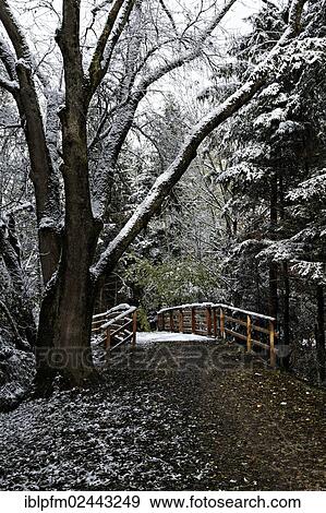 "Path and a wooden footbridge in a forest, Chiemgau, Upper Bavaria, Germany, Europe" View Large Photo Image Stock Photo - "Path and a wooden footbridge in a forest, Chiemgau, Upper Bavaria, Germany, Europe". Fotosearch