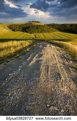 "Path leading through the fields and hills of Crete Senesi, Tuscany, Italy, Europe" View Large Photo Image Stock Photo - "Path leading through the fields and hills of Crete Senesi, Tuscany, Italy, Europe". Fotosearch