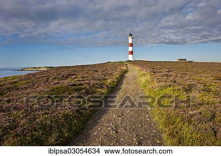 "Path leading to a lighthouse, Tarbat Ness, Scotland, United Kingdom, Europe" View Large Photo Image Picture - "Path leading to a lighthouse, Tarbat Ness, Scotland, United Kingdom, Europe". Fotosearch