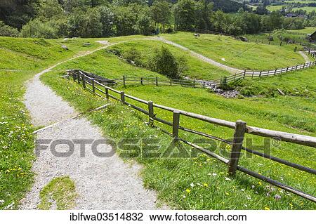 "Path on a mountain pasture, Maltatal, Hohe Tauern, Carinthia, Austria, Europe" View Large Photo Image Stock Image - "Path on a mountain pasture, Maltatal, Hohe Tauern, Carinthia, Austria, Europe". Fotosearch