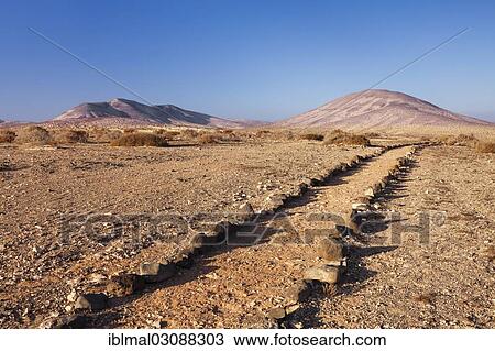 "Path through desert-like hinterland, Risco del Paso, Fuerteventura, Canary Islands, Spain, Europe" View Large Photo Image Stock Image - "Path through desert-like hinterland, Risco del Paso, Fuerteventura, Canary Islands, Spain, Europe". Fotosearch