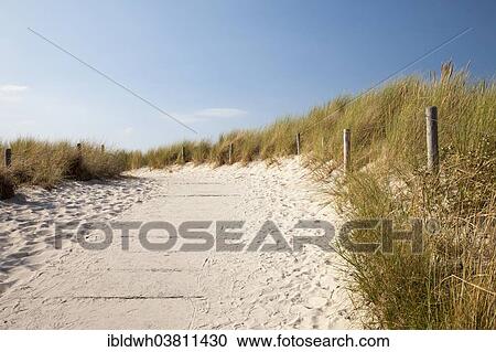 "Path through the dunes leading to the beach, Graal-Muritz, Baltic Sea resort, Mecklenburg-Western Pomerania, Germany, Europe" View Large Photo Image Stock Image - "Path through the dunes leading to the beach, Graal-Muritz, Baltic Sea resort, Mecklenburg-Western Pomerania, Germany, Europe". Fotosearch