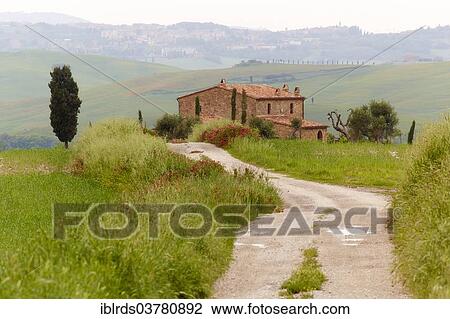"Path to a farmhouse, Pienza, Tuscany, Italy, Europe" View Large Photo Image Stock Image - "Path to a farmhouse, Pienza, Tuscany, Italy, Europe". Fotosearch