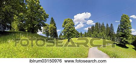 "Path to Wamberg Mountain with a mountain forest, Wamberg, Upper Bavaria, Bavaria, Germany, Europe" View Large Photo Image Stock Photograph - "Path to Wamberg Mountain with a mountain forest, Wamberg, Upper Bavaria, Bavaria, Germany, Europe". Fotosearch